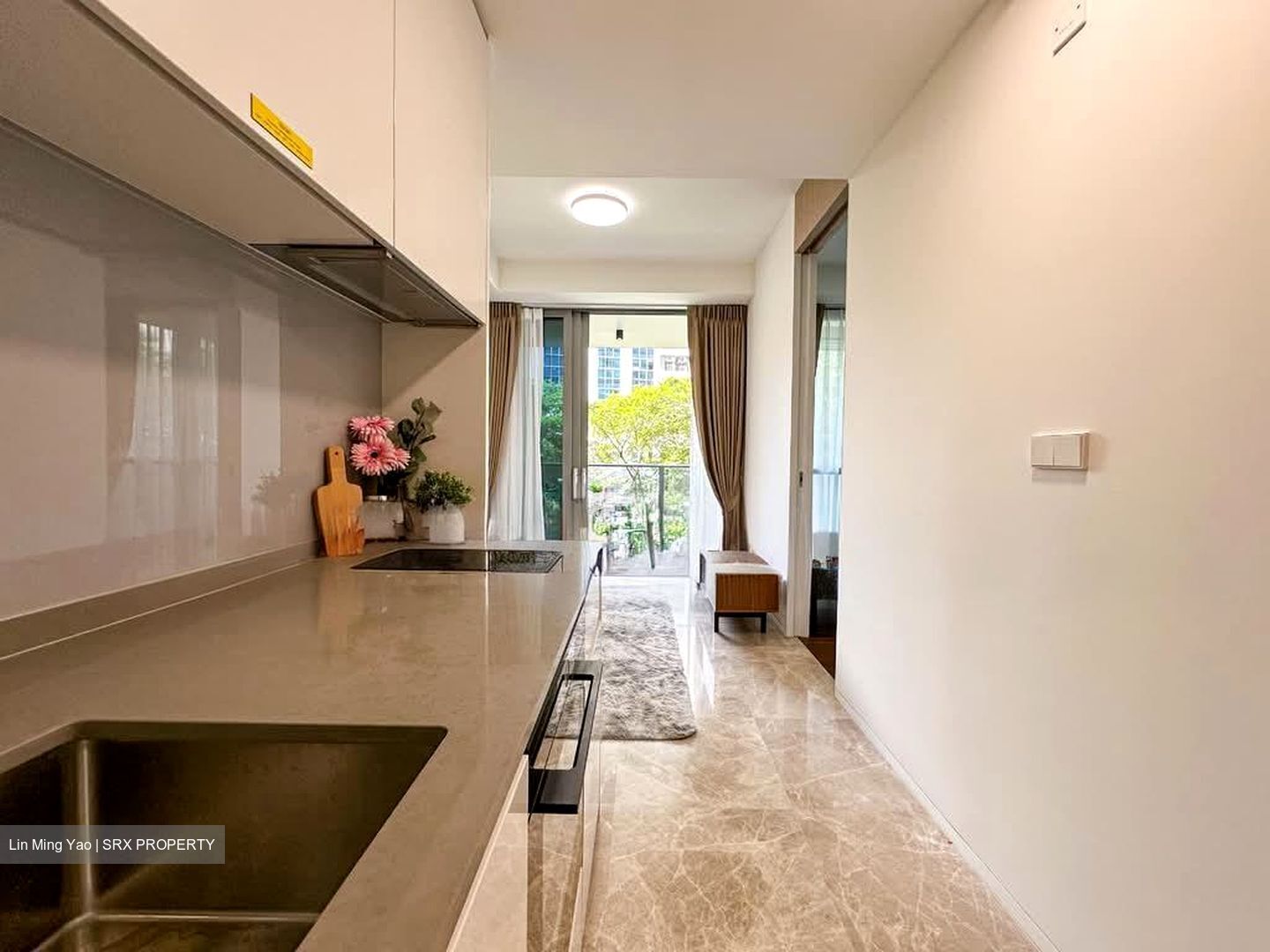 Amber Park (D15), Condominium #569719671